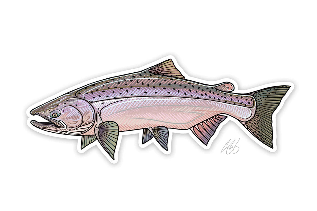 Casey Underwood Artwork - Chinook Salmon Decal