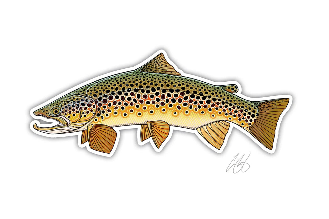 Casey Underwood Artwork - Brown Trout Decal