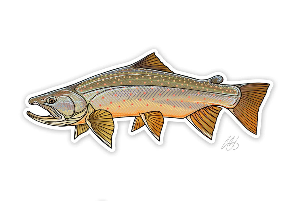 Casey Underwood Artwork - Bull Trout Decal