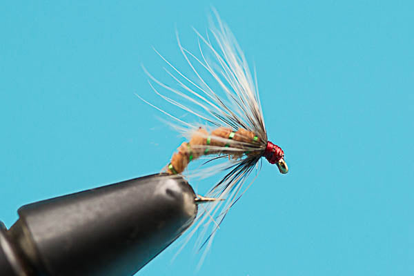 Squirrel and Ginger Caddis Emerger