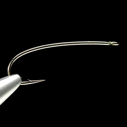 Daiichi 1260 Beadhead Curved Hook--25 pack