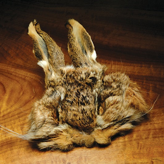Hare's Mask--Hareline