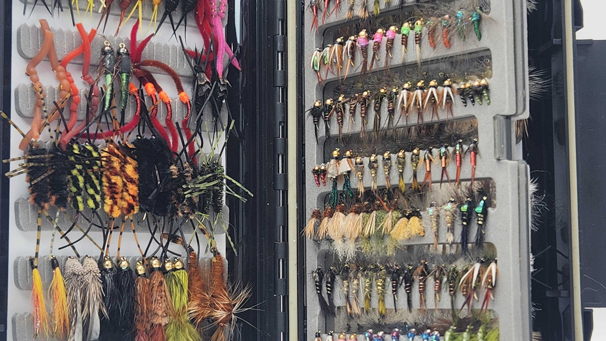 What Flies Should I Use? A Beginner’s Guide to Choosing the Right Fly