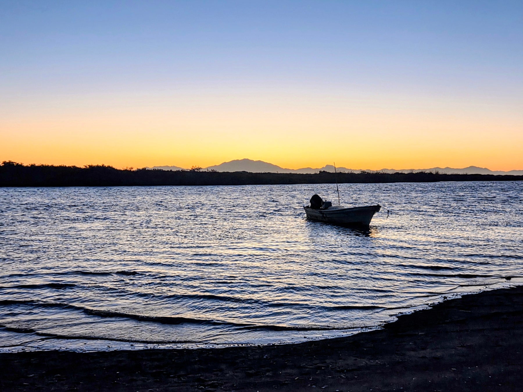 Baja Marlin - 2025 Trip Review