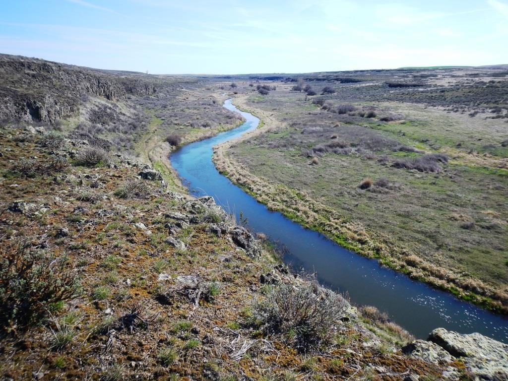 Where to Fish - Rocky Ford Creek, WA