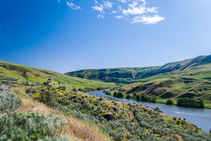 Where to Fish in the Hood River area - Lower Deschutes River