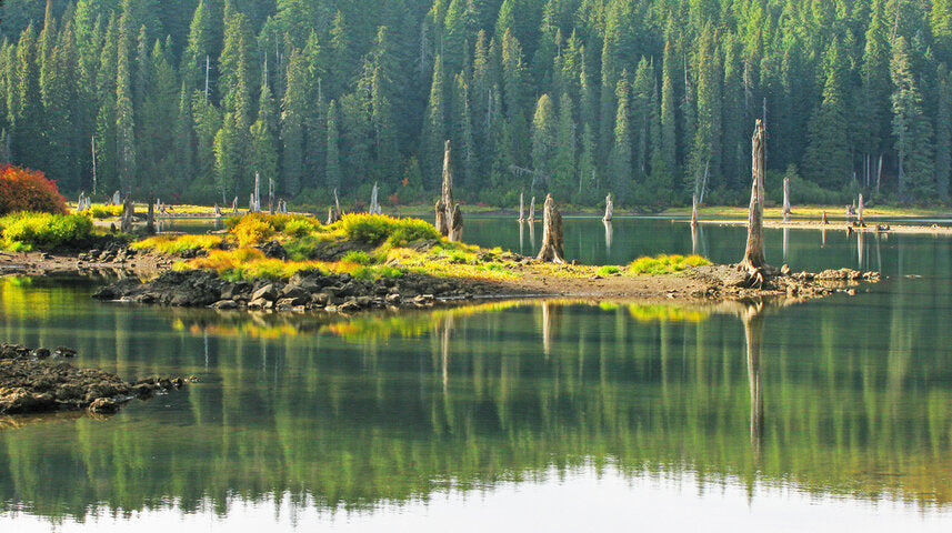 Where to Fish in the Hood River area - Goose Lake