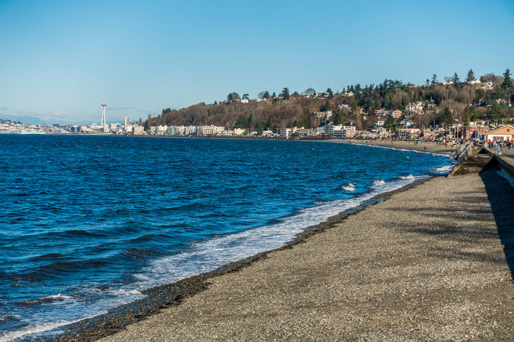Fly Fishing in Seattle