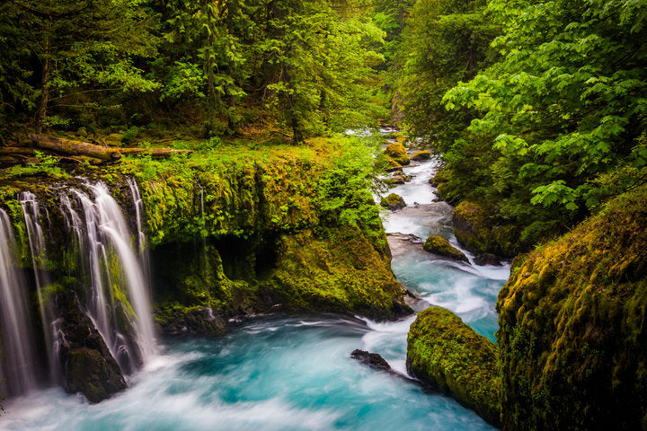 Where to Fish in the Hood River area - Little White Salmon (above Drano Lake)