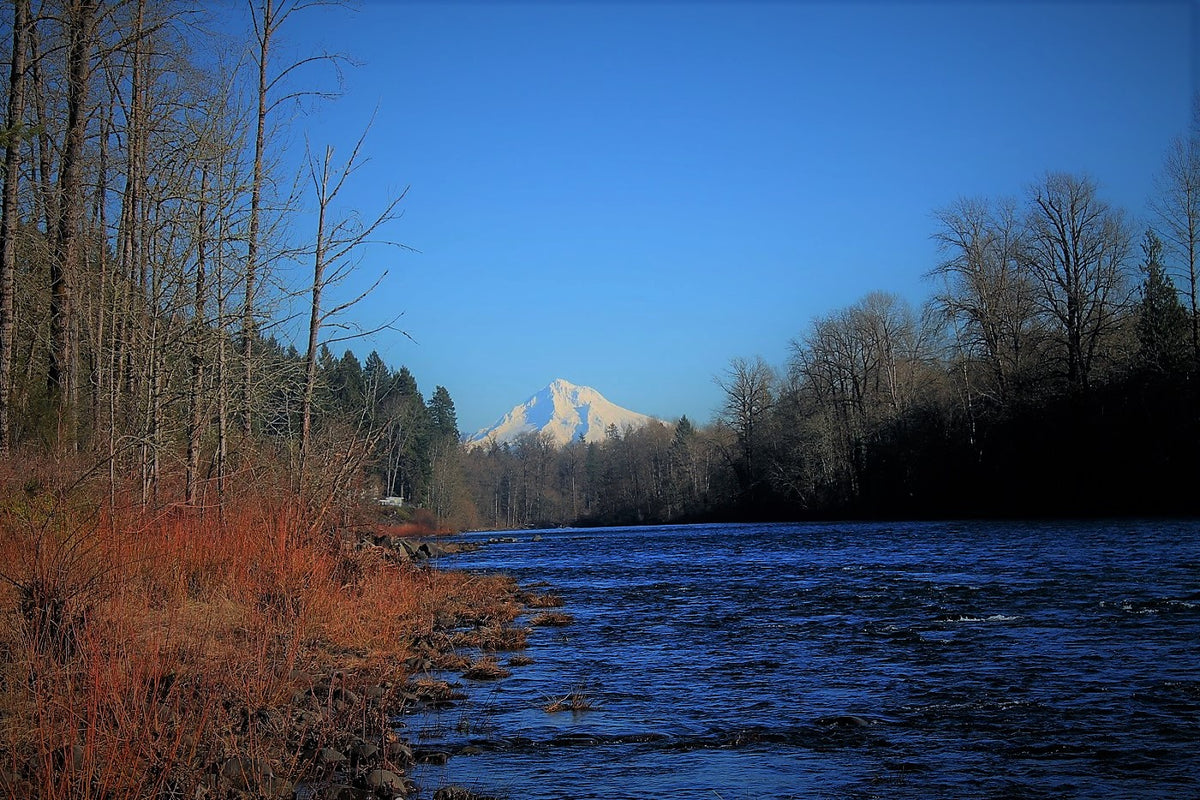 Where to Fish in the Hood River area - Clackamas River
