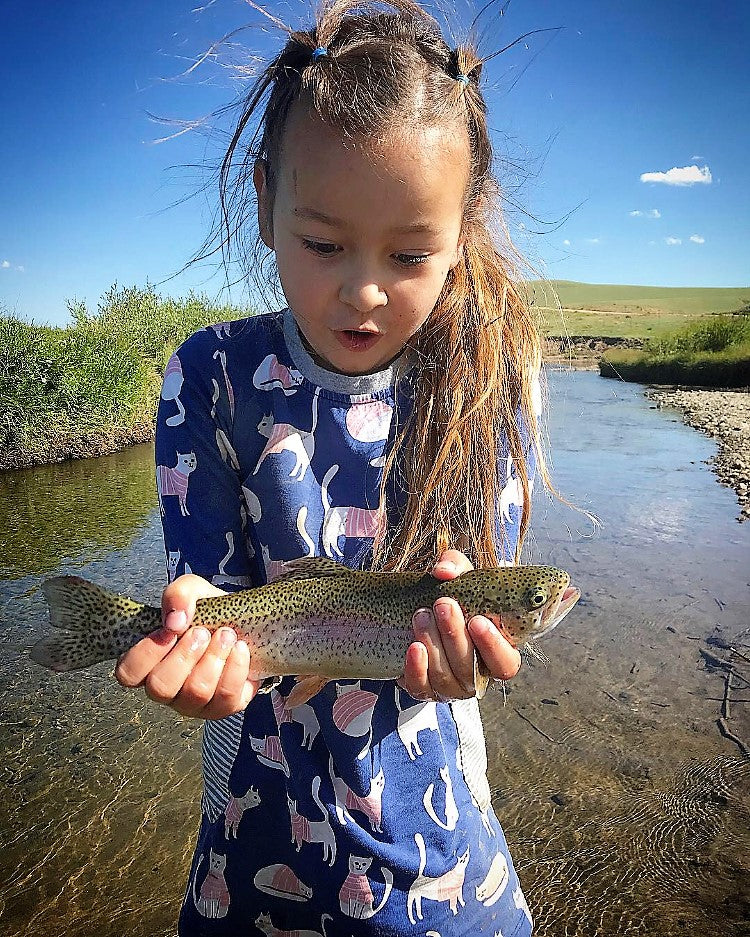 December 2018 #3