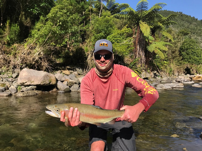February 2019 #1
