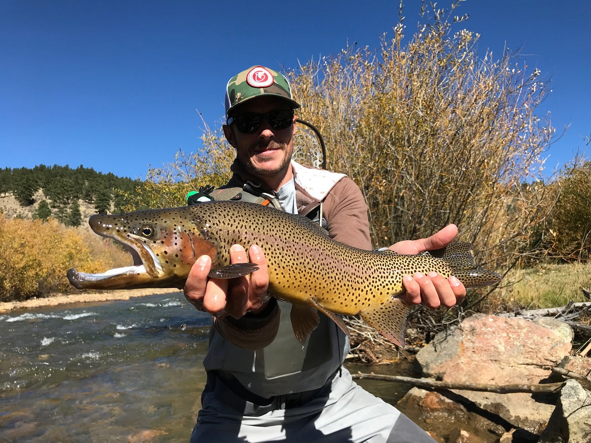 October 2018 #3