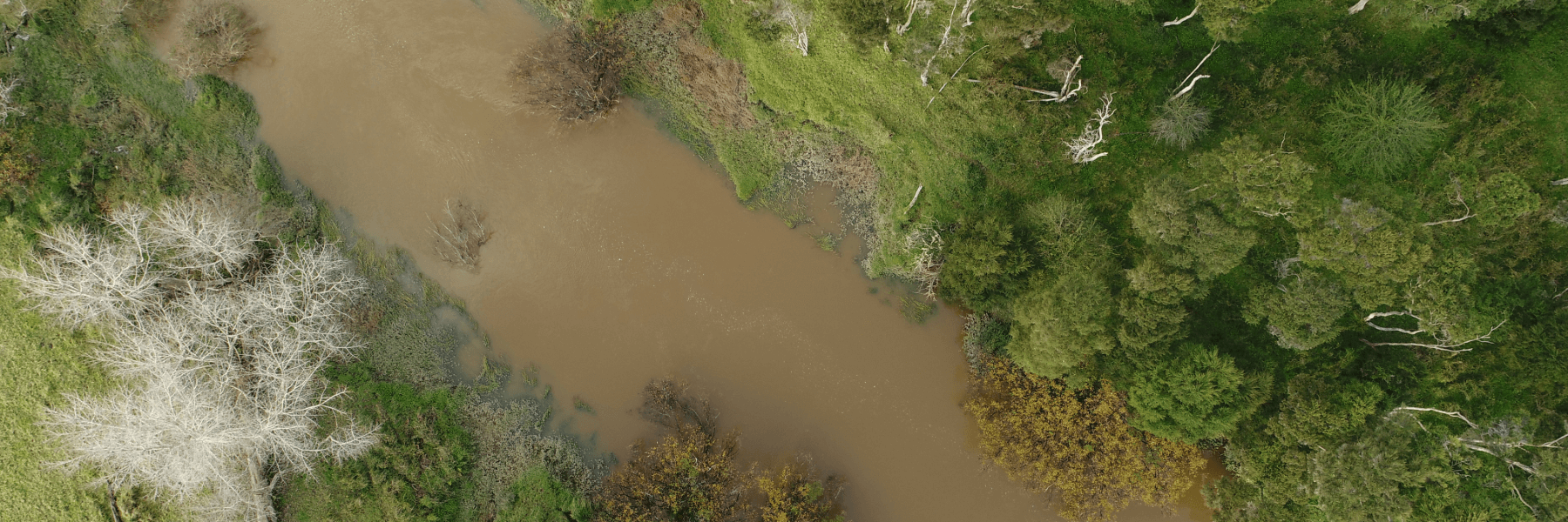 The Top 3 Nymph Combinations for Spring Trout Fishing