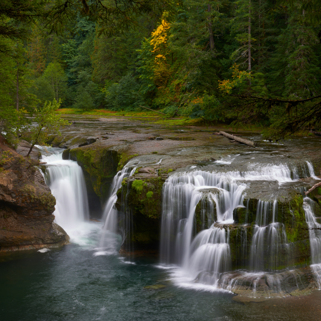 Where to Fish in the Hood River area - North Fork Lewis River