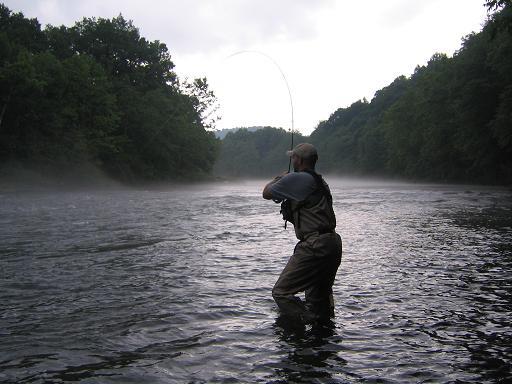 June 2005 #1