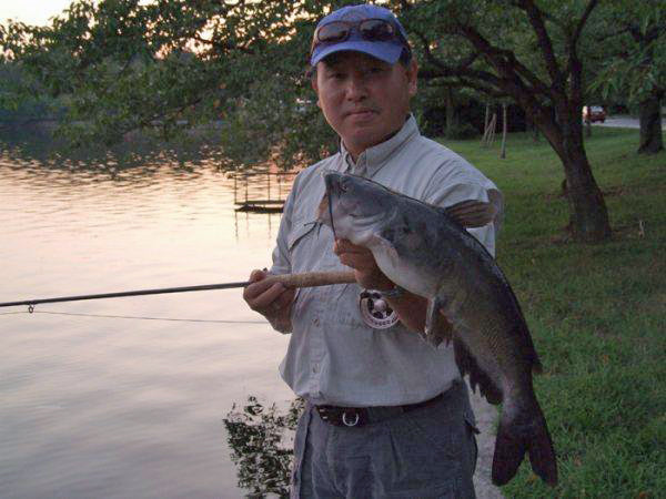 November 2011 #2