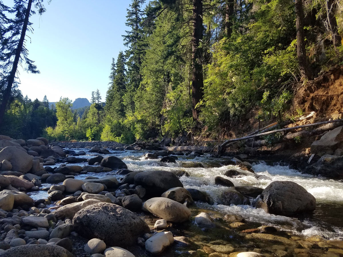 Where to Fish in the Hood River area - Trout Lake Creek