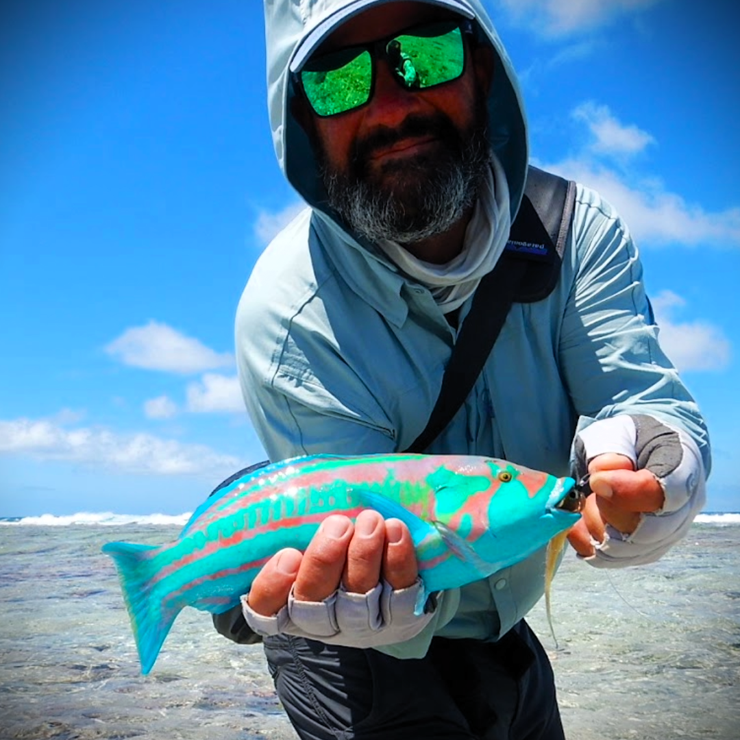 Tropical Fly Lines