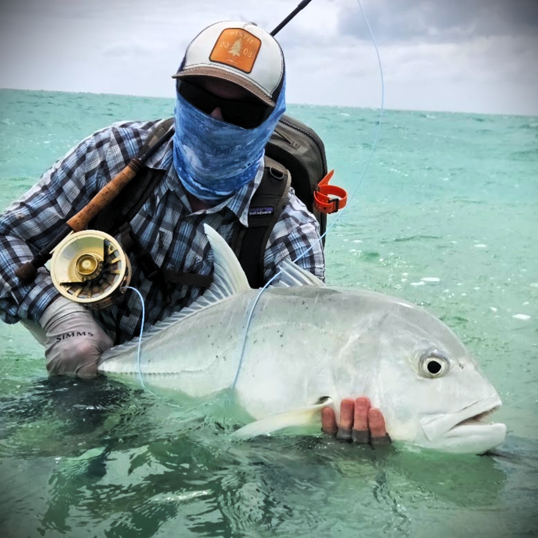 Giant Trevally (GT)