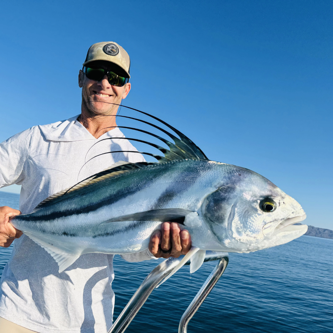 Roosterfish