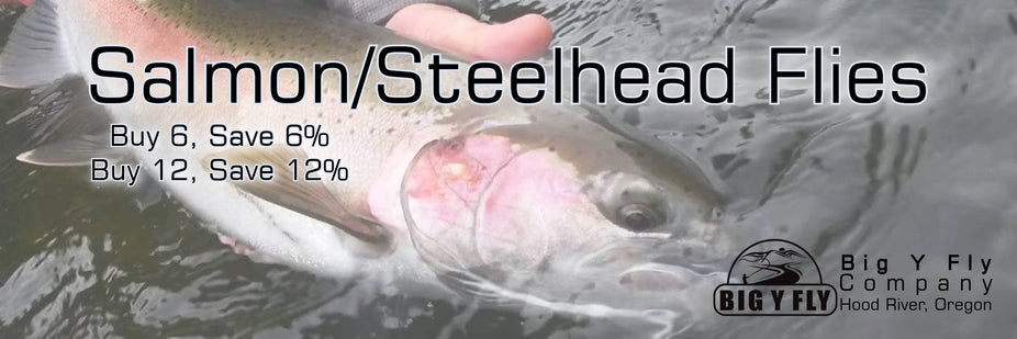 Salmon & Steelhead