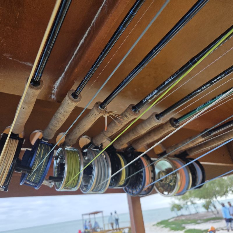 Streamer/ Saltwater Rods