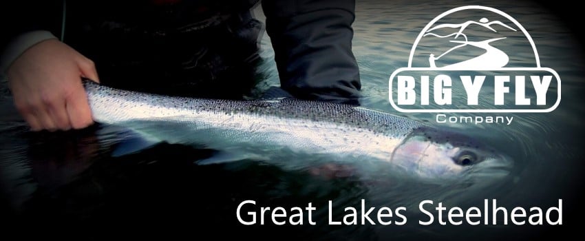 Great Lakes Steelhead — Big Y Fly Co
