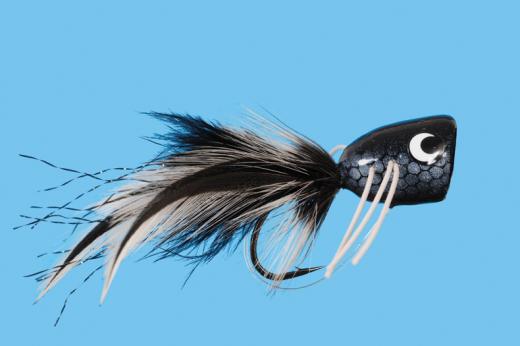 Poppers/Divers/Sliders — Big Y Fly Co