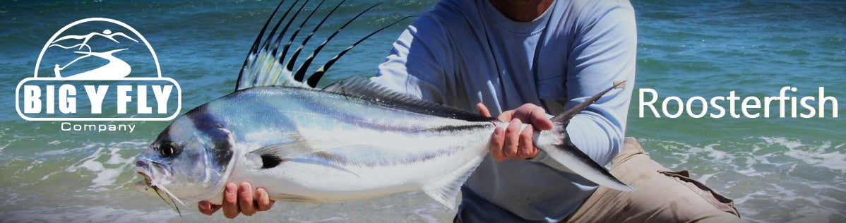 Roosterfish Flies – Mullet, Sardina & Surf Baitfish Big Y Fly C — Big Y ...