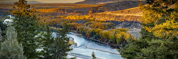 Fly Fishing in Nature's Bounty