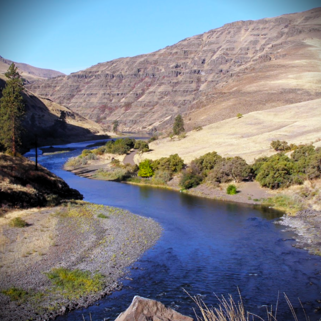 Fly Fishing in Nature's Bounty
