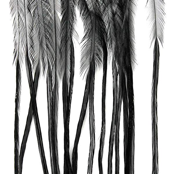 Whiting 100 Pack - Dry Fly Hackle