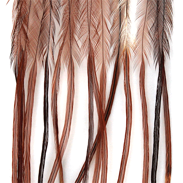 Whiting 100 Pack - Dry Fly Hackle