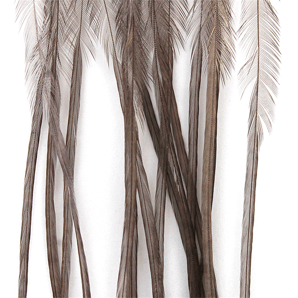 Whiting 100 Pack - Dry Fly Hackle