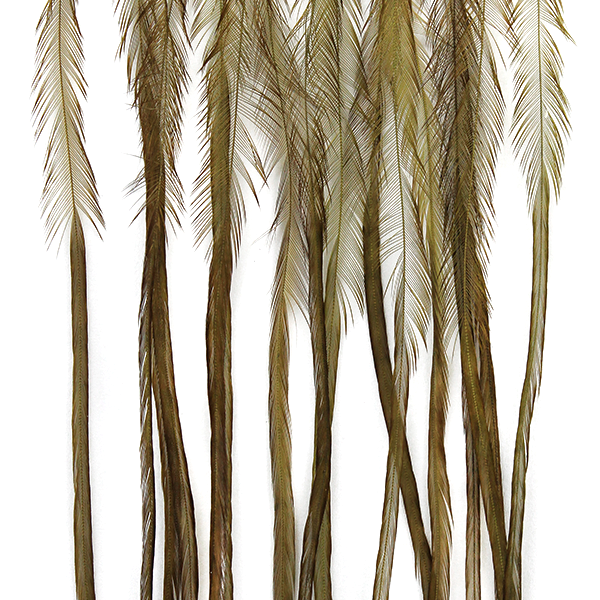 Whiting 100 Pack - Dry Fly Hackle