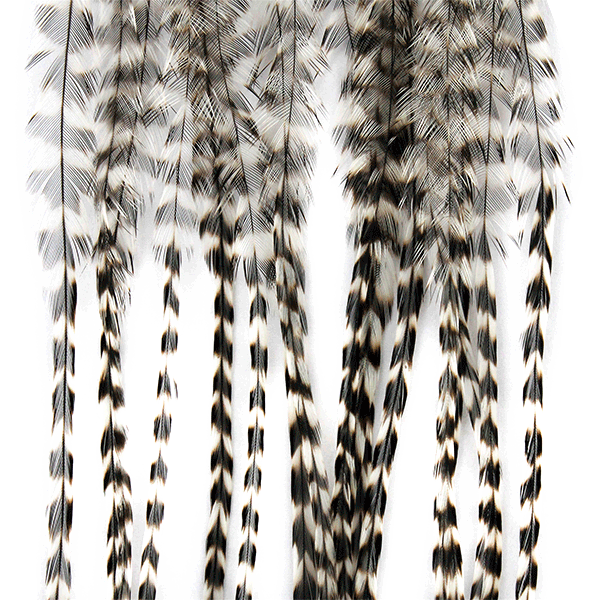 Whiting 100 Pack - Dry Fly Hackle