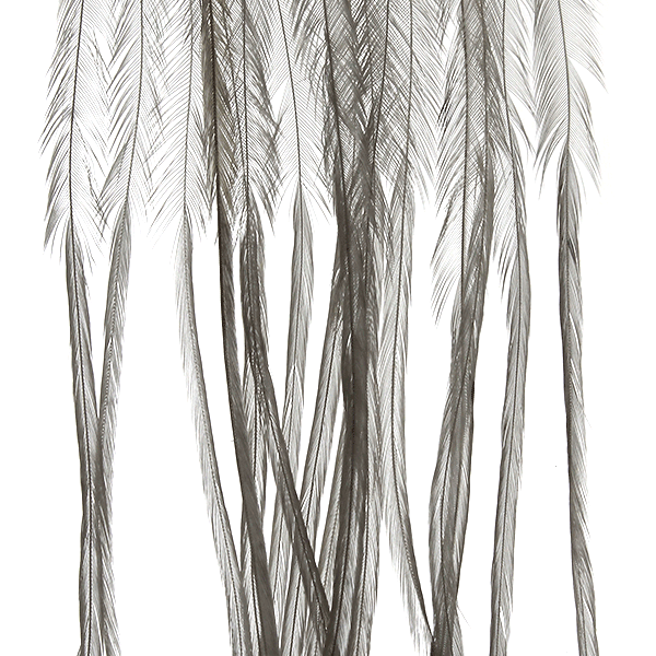 Whiting 100 Pack - Dry Fly Hackle