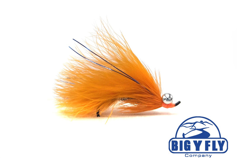 Coho Comet