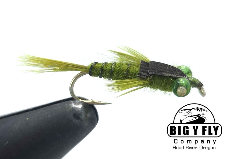 Glass Eye Damsel Nymph