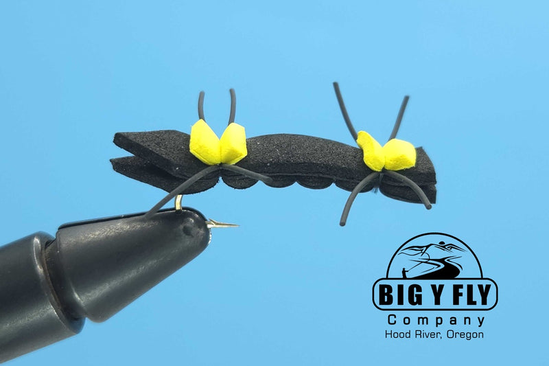 Chernobyl Ant
