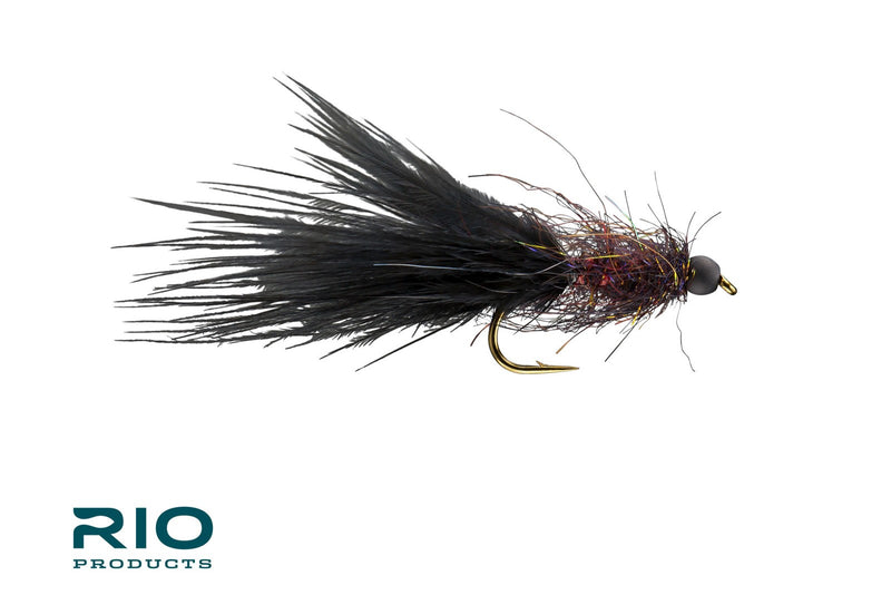 Jelly Leech - RIO