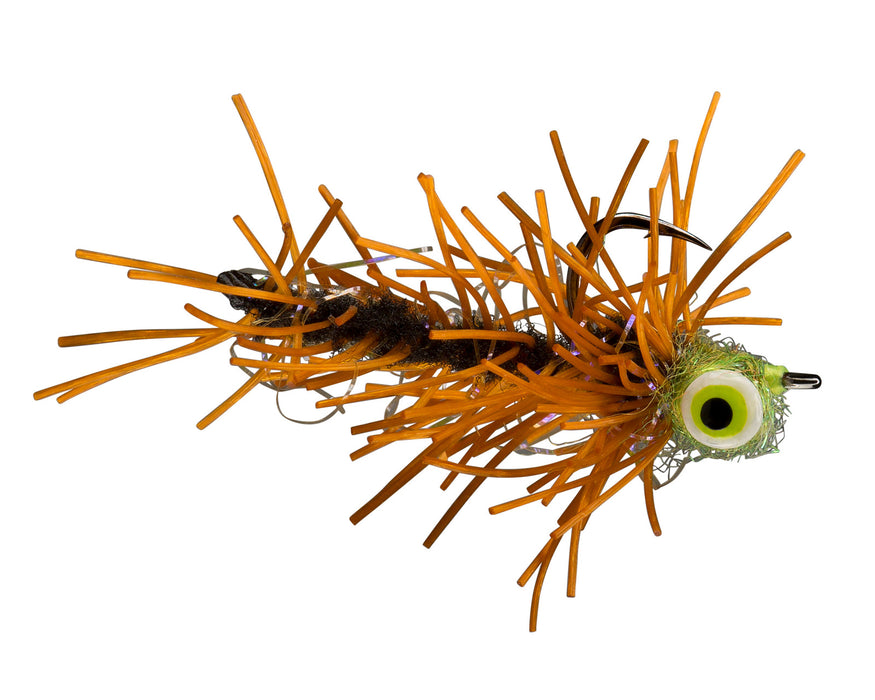 RIO's Dick's Magic Carp