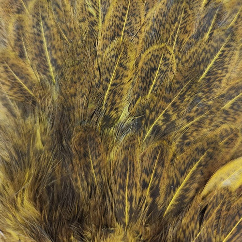 India Hen Backs--Hareline