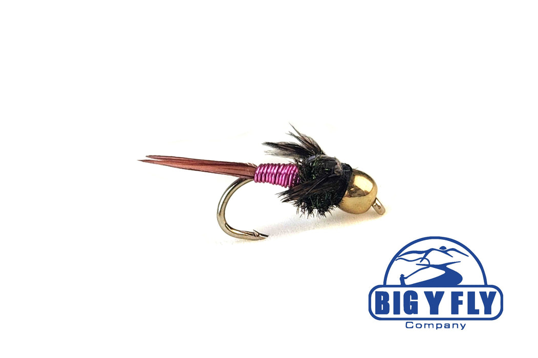 The Fly Fishing Place Bead Head Copper John Nymph Fly Fishing Flies - Set  of 6 Flies Hook Size 12