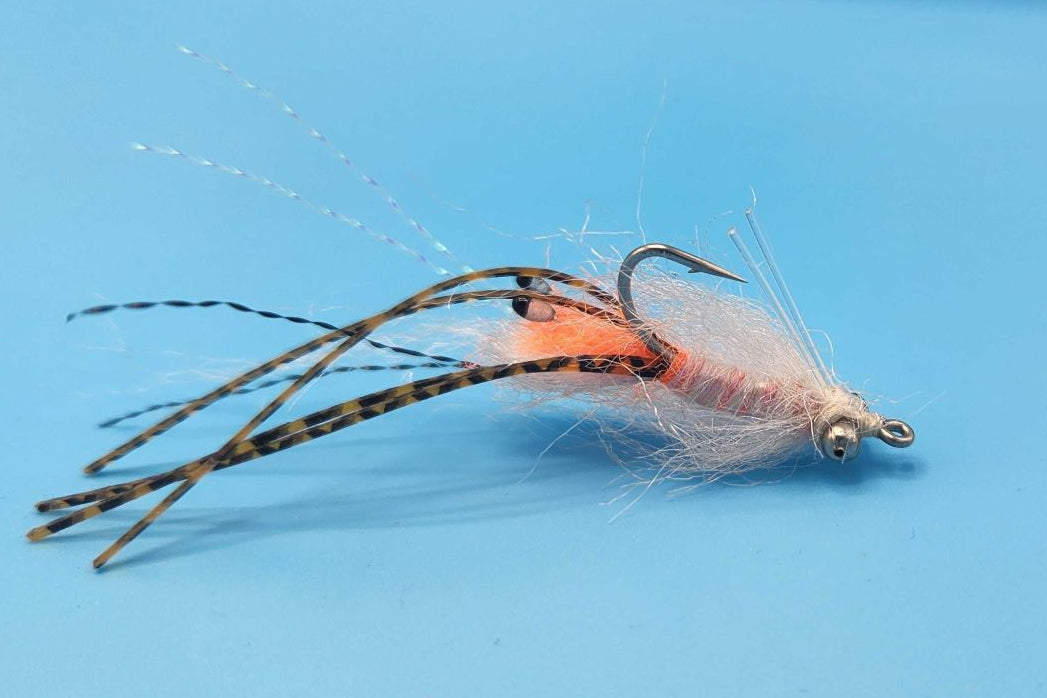 Spawning Shrimp - Shallow