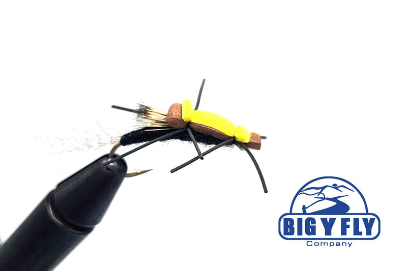 Floating Stonefly