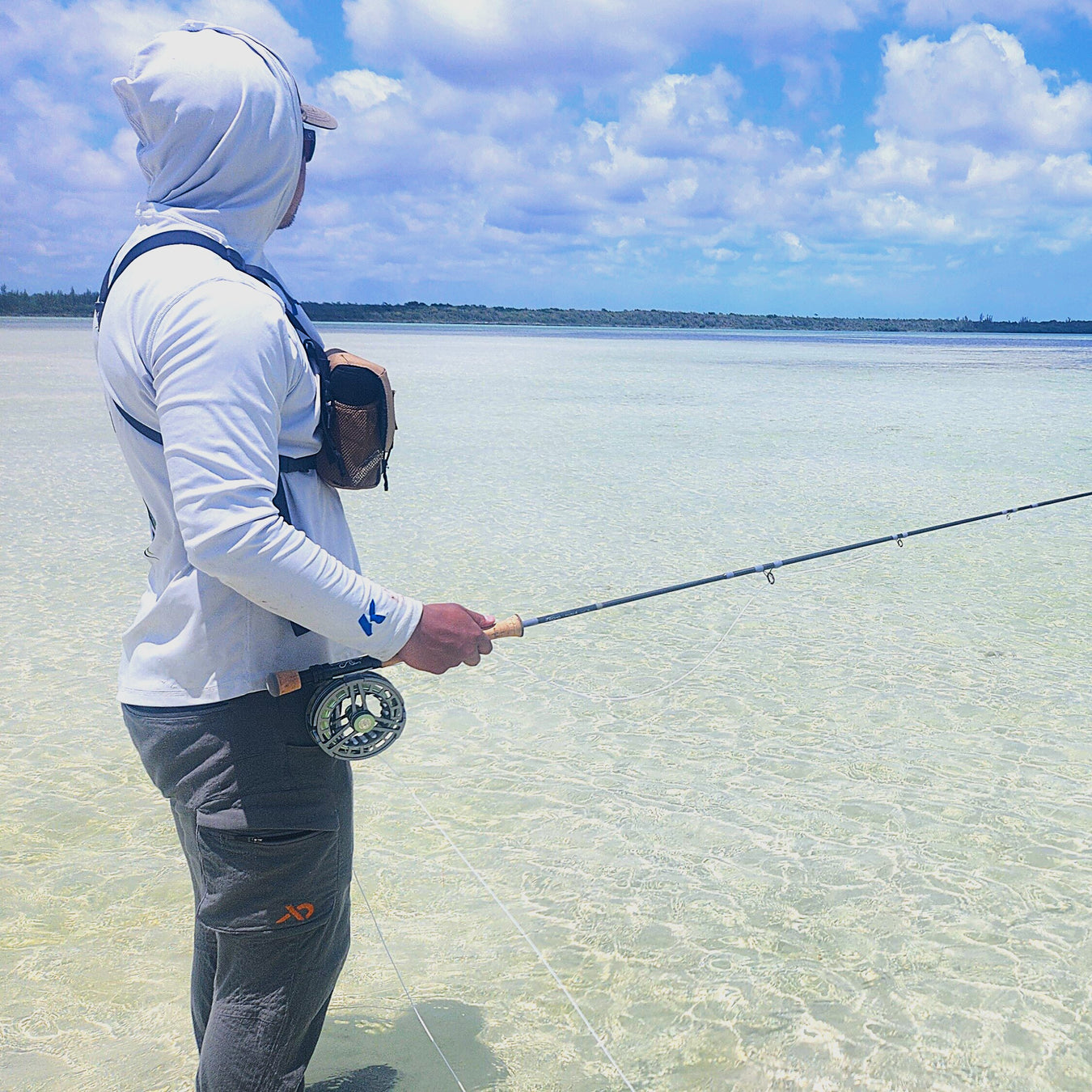 Saltwater Reels