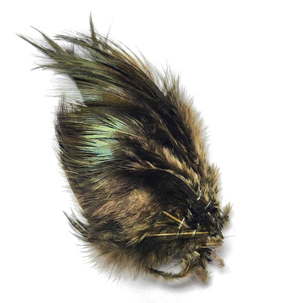 Strung Ringneck Pheasant Rump--by Fish Hunter