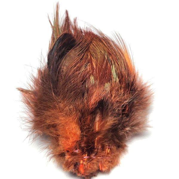 Strung Ringneck Pheasant Rump--by Fish Hunter